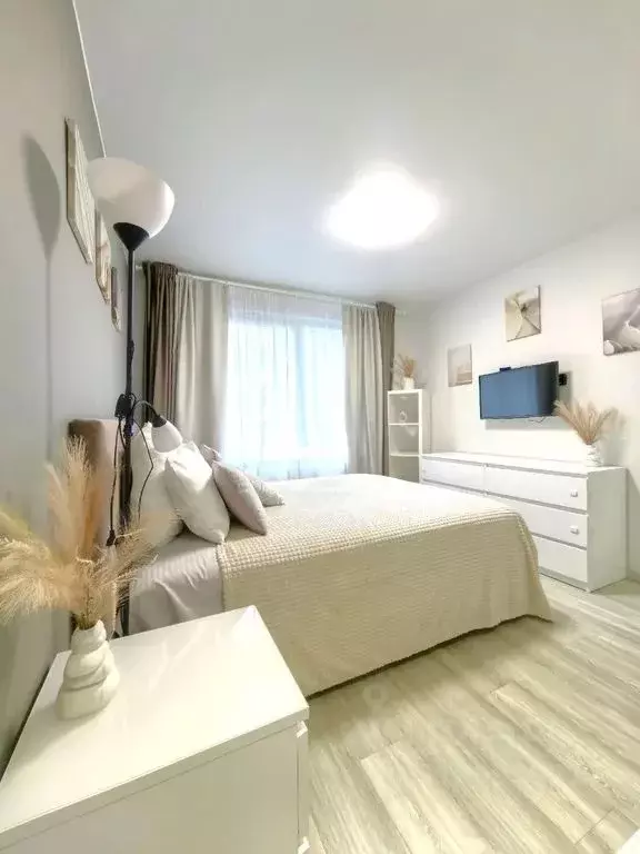 Студия Санкт-Петербург ул. Салова, 61 (25.0 м) - Фото 1
