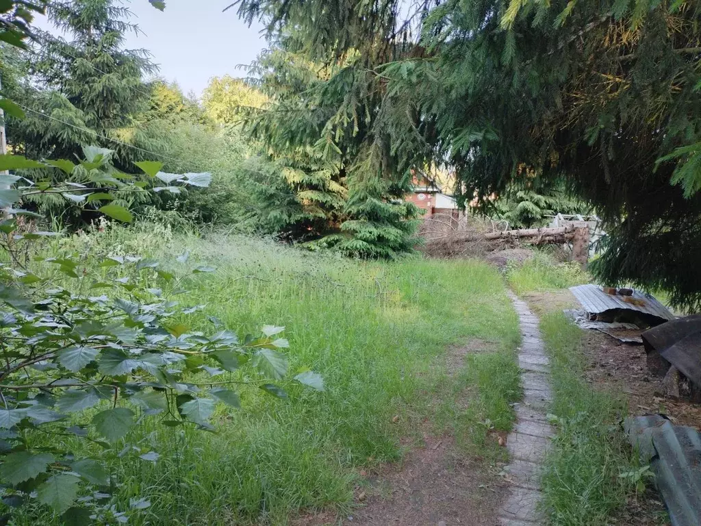 Участок в Санкт-Петербург, Санкт-Петербург, Сестрорецк Красноармейская ... - Фото 1