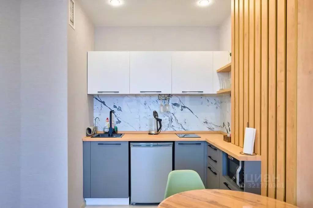 1-к кв. Псковская область, Псковский район, Завеличенская волость, д. ... - Фото 1