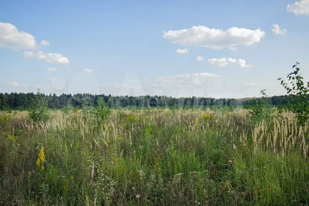 Участок 3,85 га (СНТ, ДНП) - Фото 0