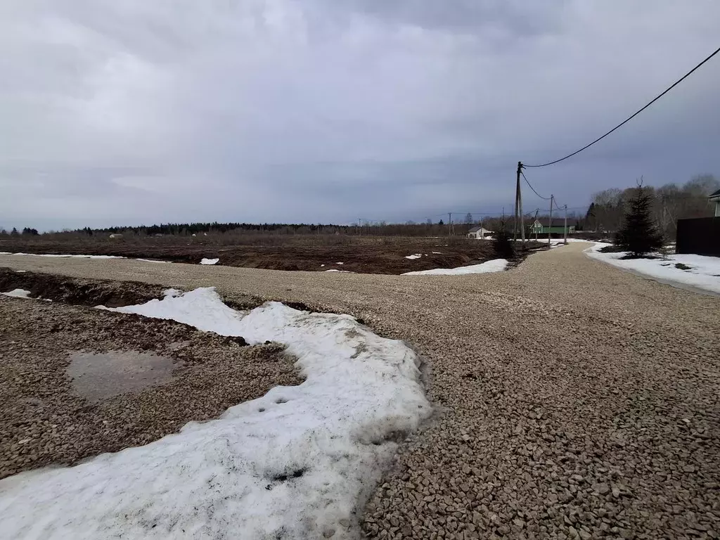 Участок в Ленинградская область, Гатчинский муниципальный округ, пос. ... - Фото 2