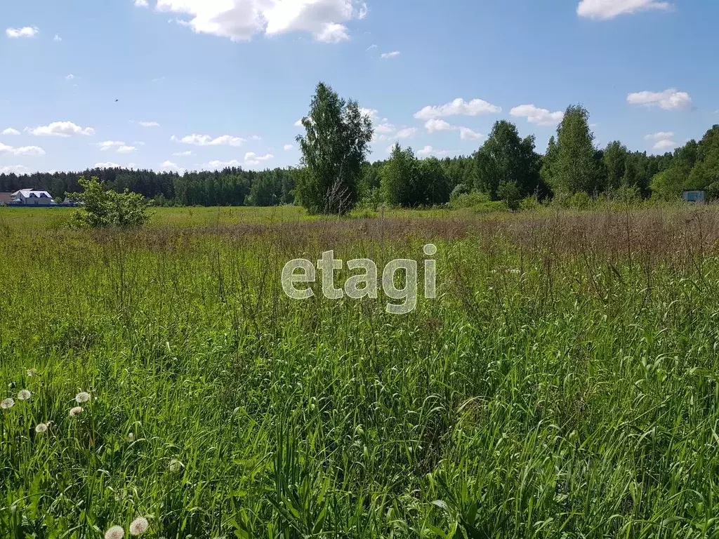 Участок в Владимирская область, Муромский район, с. Ковардицы ул. 75 ... - Фото 0