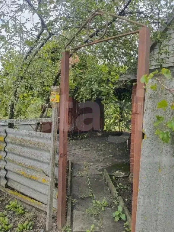 Участок в Белгородская область, Корочанский муниципальный округ, ... - Фото 1