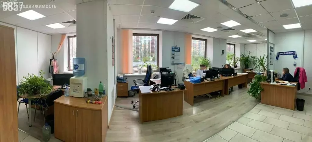 Помещение свободного назначения (251 м) - Фото 2