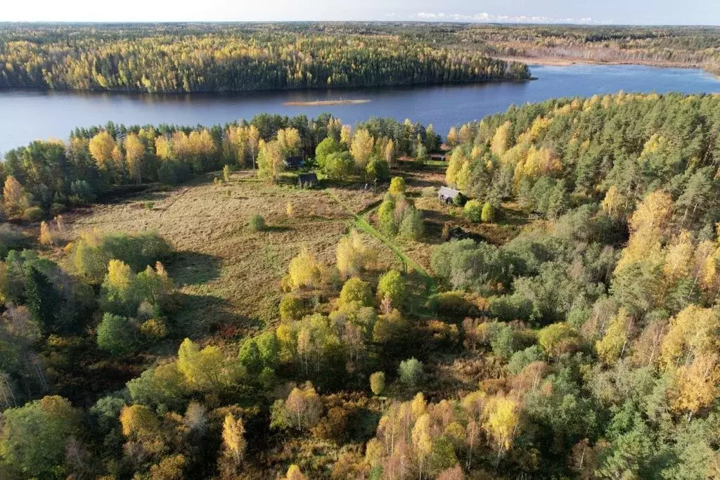 Участок в Лахденпохский район, Куркиёкское сельское поселение, посёлок ... - Фото 0