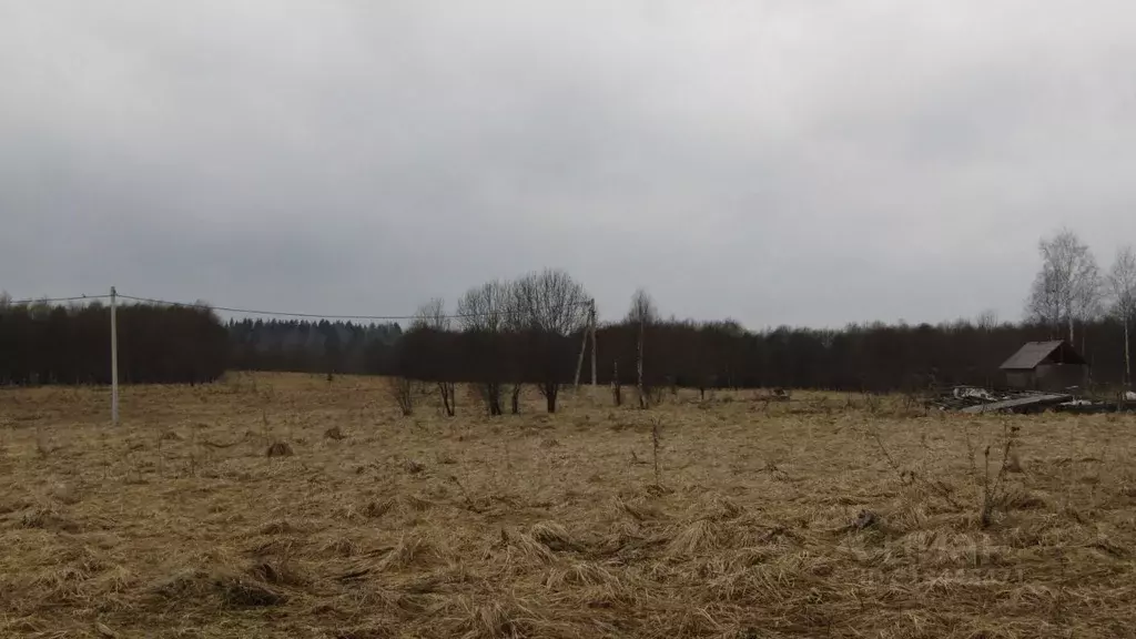 Участок в Московская область, Рузский муниципальный округ, д. ... - Фото 1