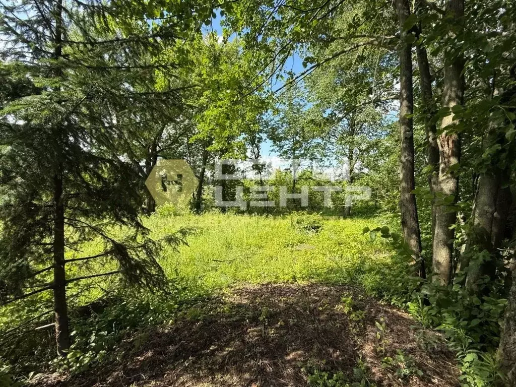 Участок в Москва ш. Рязановское (9.0 сот.) - Фото 1