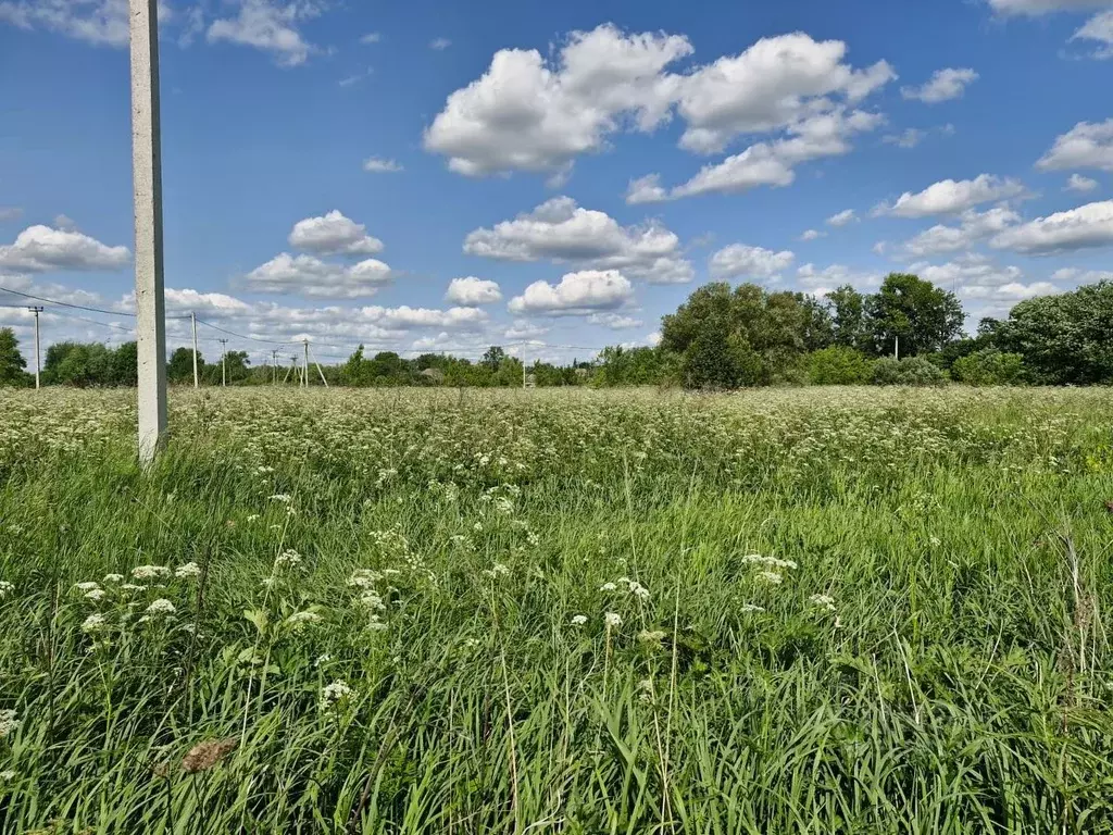 Участок в Московская область, Ступино городской округ, с. Березнецово  ... - Фото 1