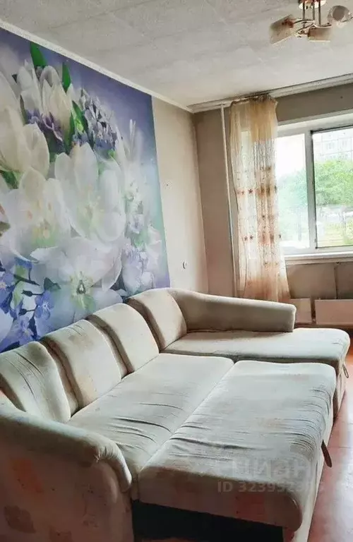 Студия Хакасия, Абакан Трудовая ул., 45 (30.2 м) - Фото 1