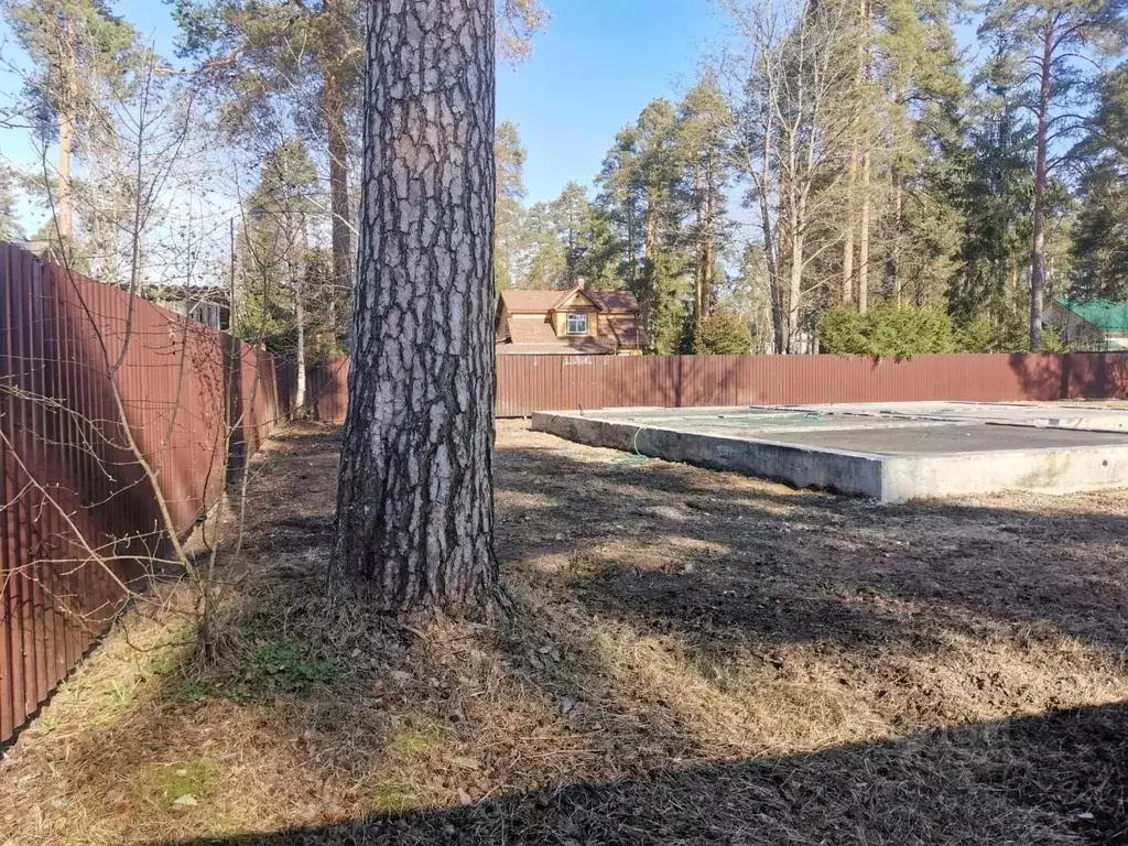 Участок в Ленинградская область, Гатчинский муниципальный округ, ... - Фото 1