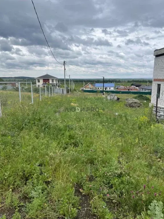 Участок в Саратовская область, с. Усть-Курдюм ул. Полевая, 4 (11.0 ... - Фото 2