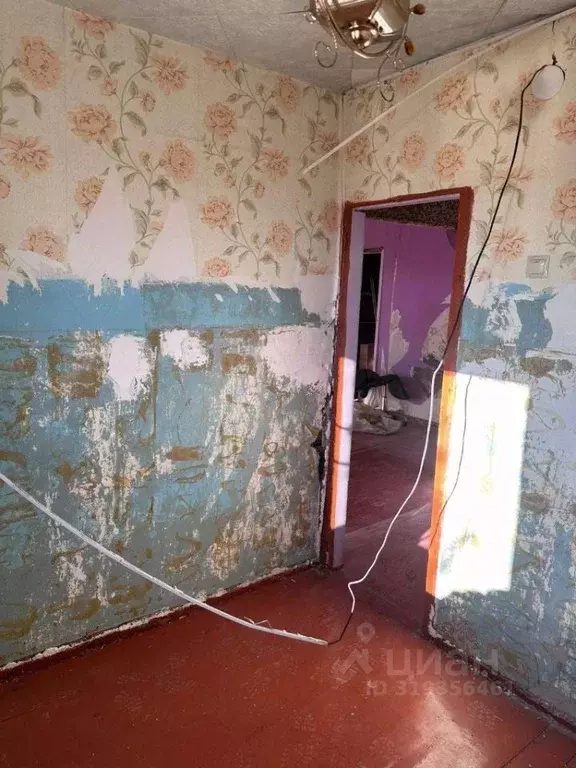 1-к кв. Забайкальский край, Борзя ул. Ленина, 63 (31.4 м) - Фото 1