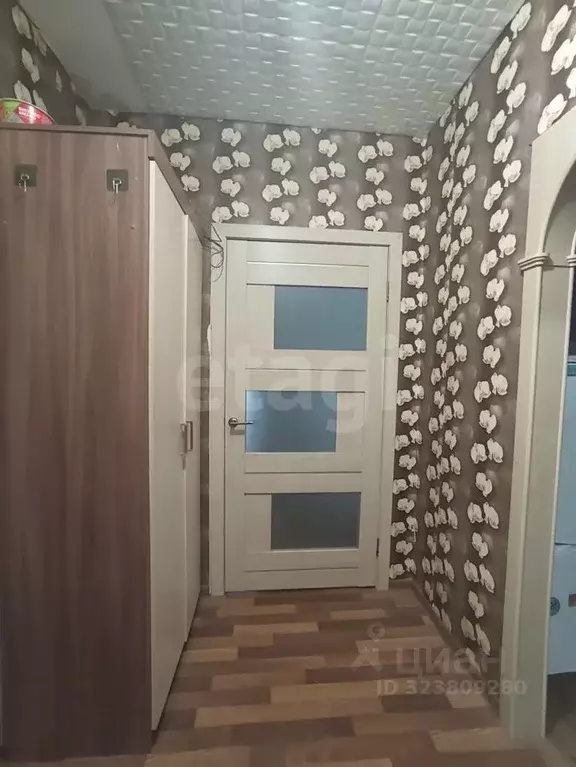 2-к кв. Брянская область, Почеп Злынковская ул., 2 (34.1 м) - Фото 1