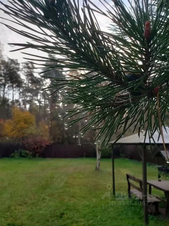 Участок в Московская область, Люберцы городской округ, Малаховка пгт, ... - Фото 2