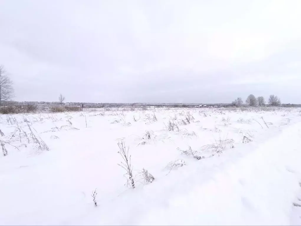 Участок в Ленинградская область, Волховский район, Староладожское ... - Фото 2