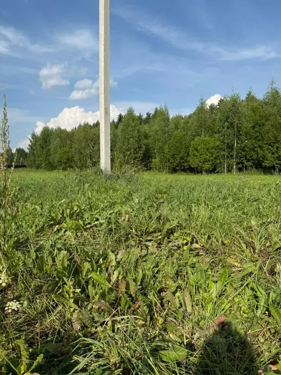 Участок в Кировская область, Слободской район, Шиховское с/пос, д. ... - Фото 1