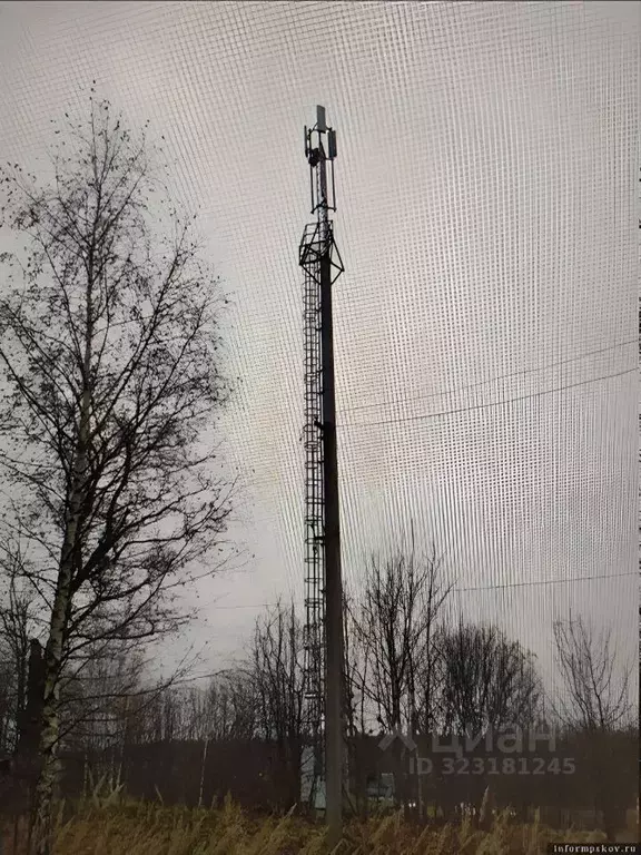 Участок в Псковская область, Пустошкинский район, Пригородная волость, ... - Фото 1