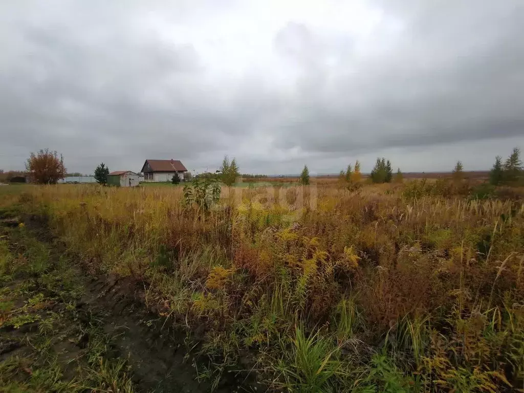 Участок в Брянская область, Брянский район, Отрадненское с/пос, с. ... - Фото 1