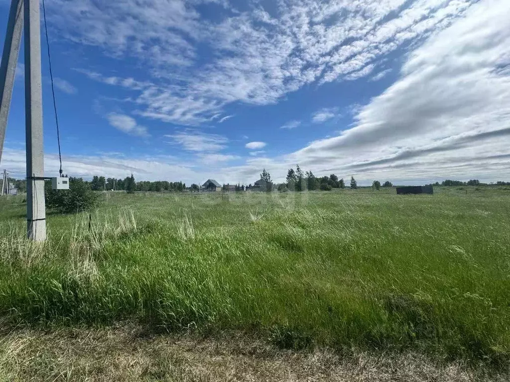 Участок в Новосибирская область, Искитимский район, Быстровский ... - Фото 1