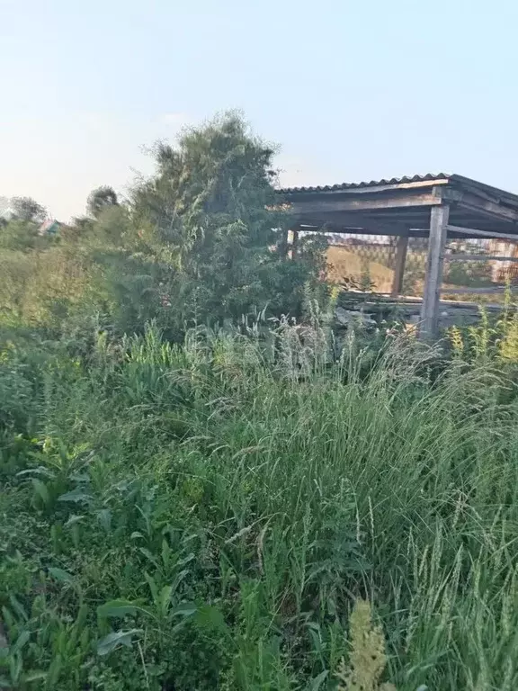 Участок в Томская область, Кожевниковский район, с. Киреевск ул. Карла ... - Фото 1