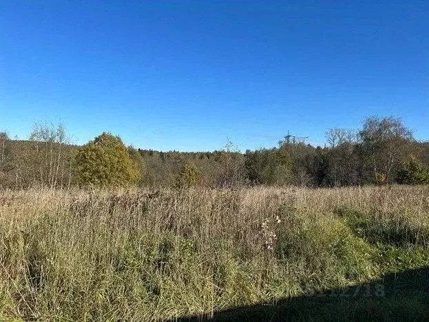 Участок в Московская область, Сергиево-Посадский городской округ, д. ... - Фото 2