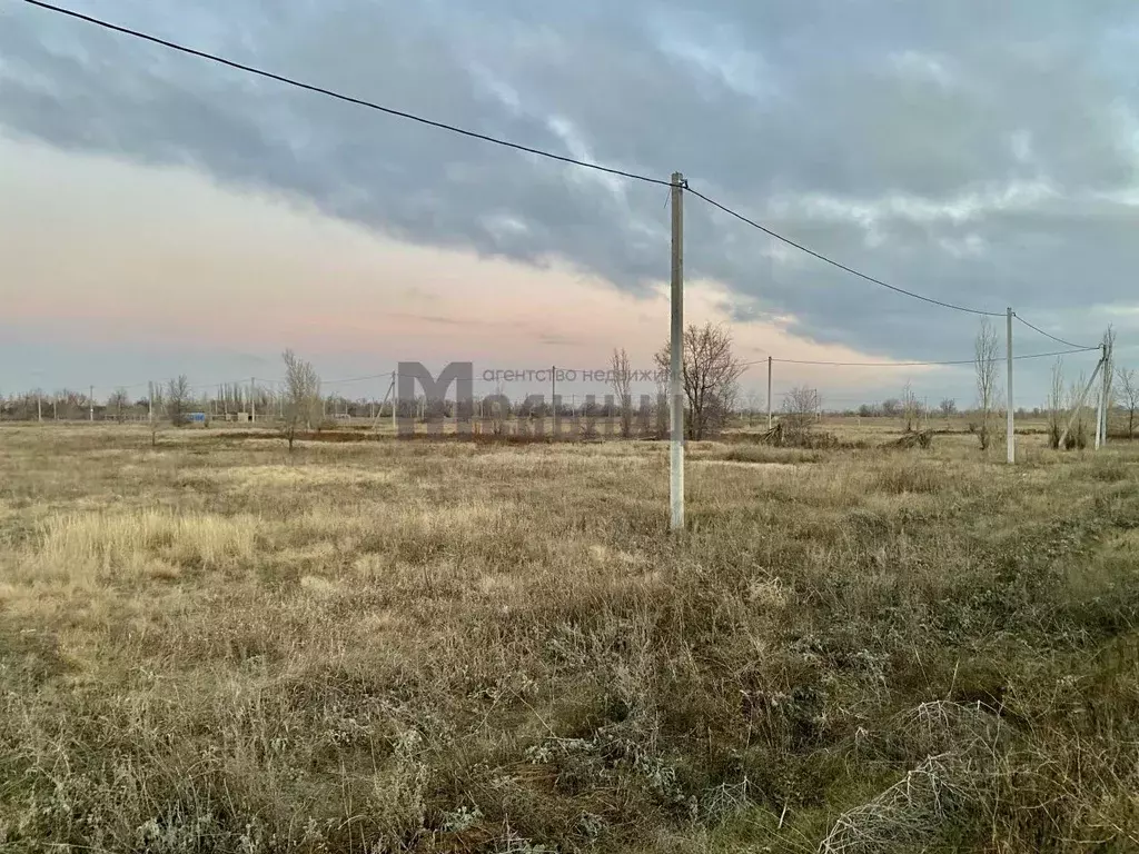Участок в Волгоградская область, Городищенский район, Новожизненское ... - Фото 1