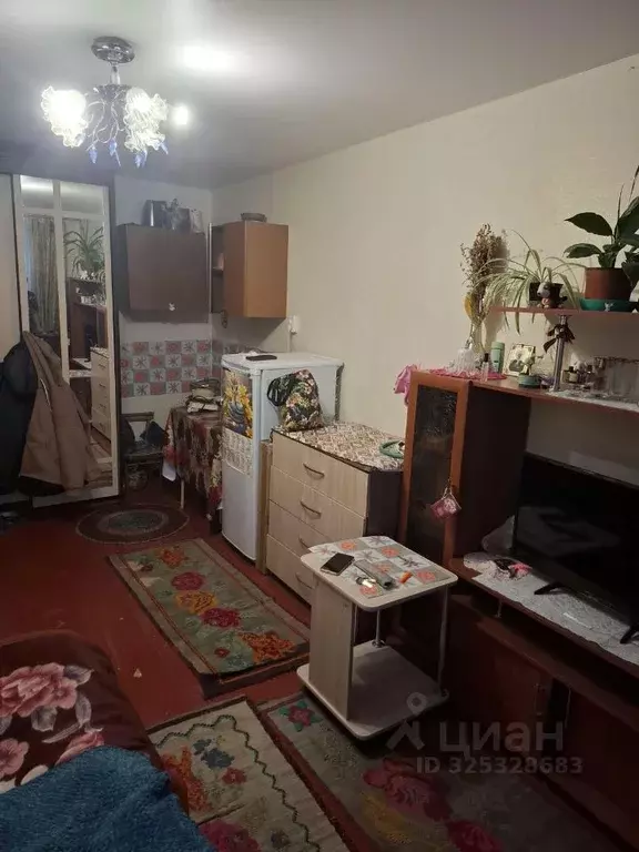 Комната Курганская область, Курган просп. Конституции, 77Б (17.0 м) - Фото 1