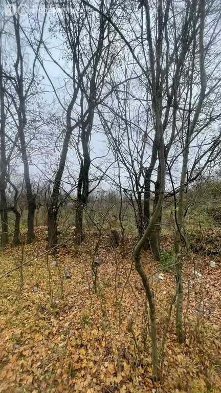 Участок в Дарг-Кох, Артезианская улица (27 м) - Фото 2