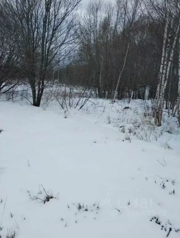 Участок в Московская область, Ступино городской округ, д. Бурцево ул. ... - Фото 1