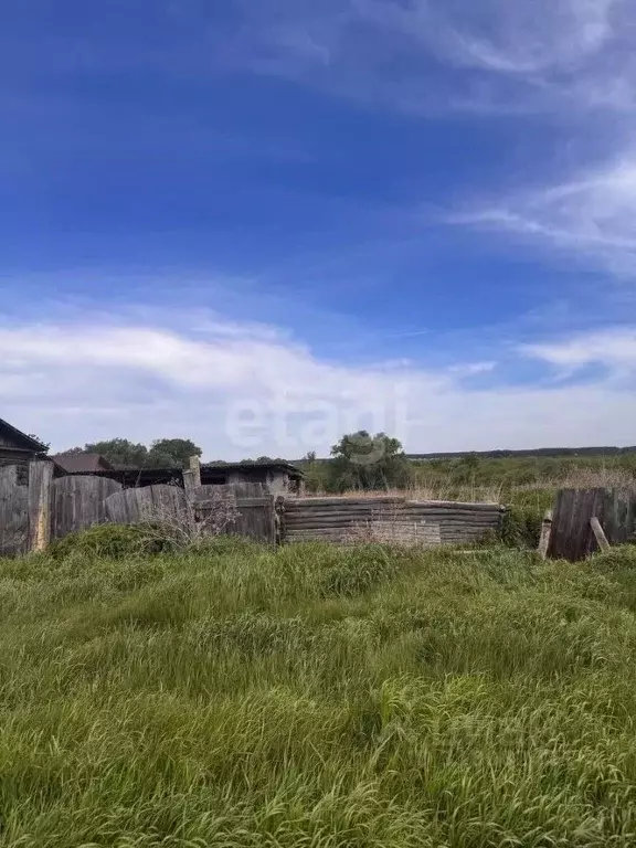 Участок в Курганская область, Шадринский муниципальный округ, д. ... - Фото 1