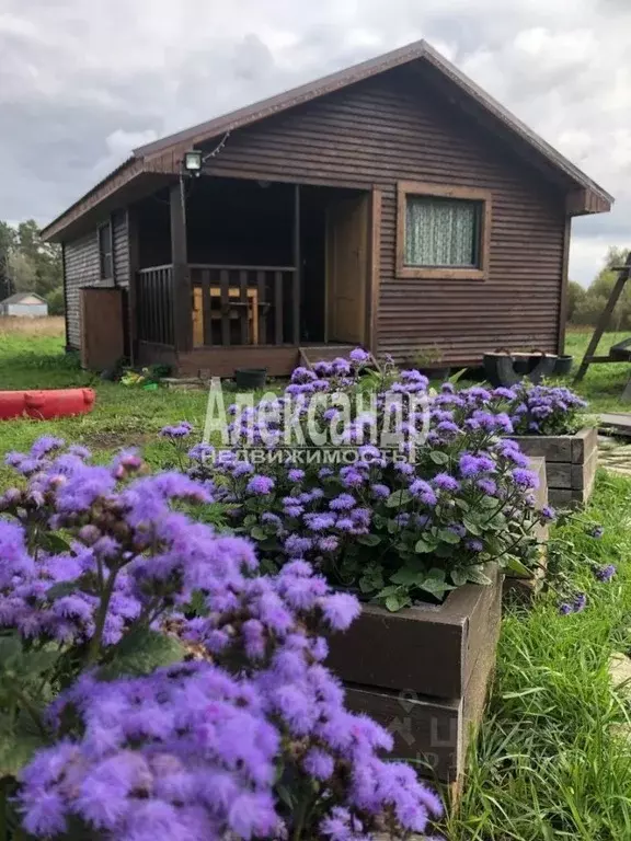 торговая площадь в ленинградская область, приозерский район, . - Фото 1