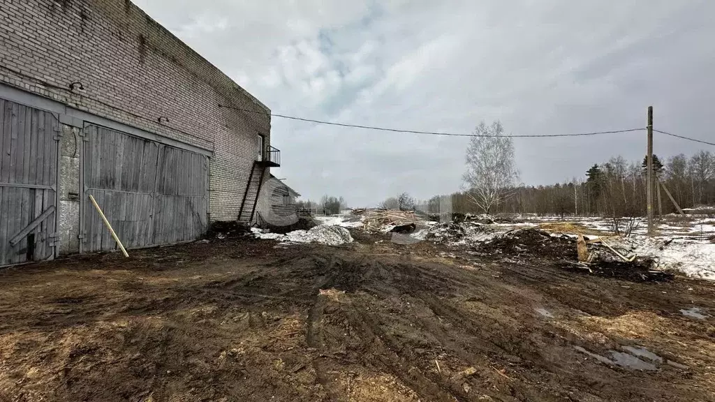 Производственное помещение в Брянская область, Брянский район, ... - Фото 1