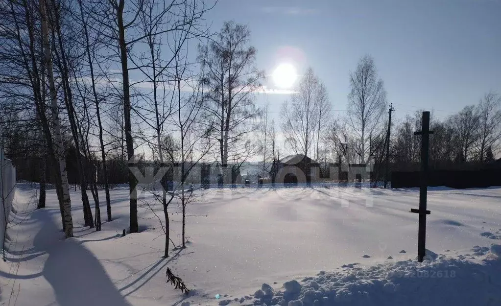 Участок в Новосибирская область, Мошковский район, с. Сокур ул. Вадима ... - Фото 2