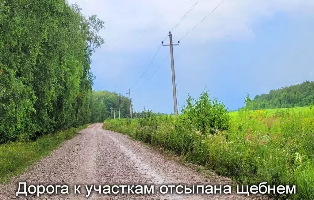 Участок в Тульская область, Заокский район, Демидовское с/пос, Вог СНТ ... - Фото 2