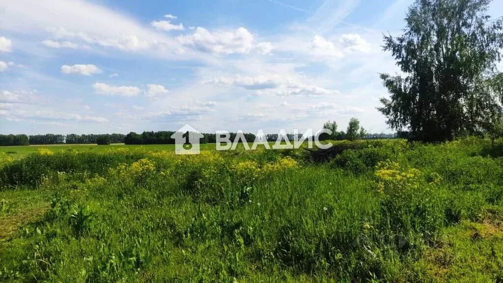 Участок в Владимирская область, Суздальский район, Селецкое ... - Фото 1