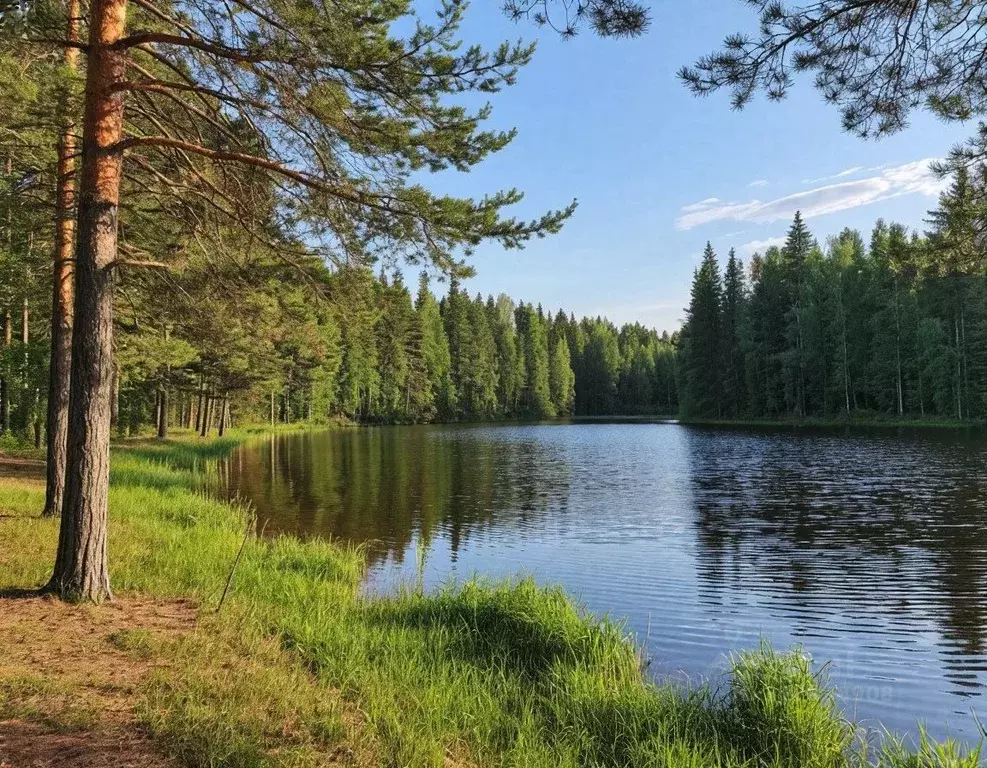 Участок в Московская область, Дмитровский муниципальный округ, ... - Фото 1