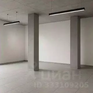 Помещение свободного назначения в Курская область, Курск ул. Энгельса, ... - Фото 1