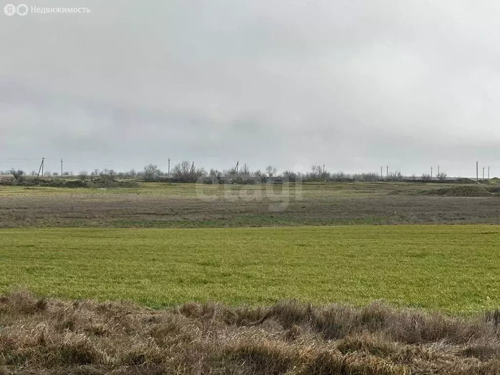 Участок в Луговское сельское поселение, село Ерофеево, Школьная улица ... - Фото 1