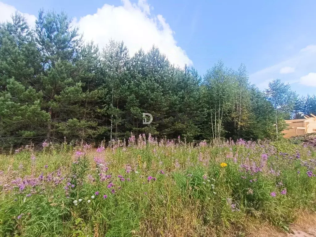 Участок в Кировская область, Слободской район, Шиховское с/пос, д. ... - Фото 1