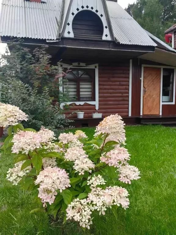 Дом в Иркутская область, Иркутский муниципальный округ, Листвянка рп ... - Фото 1