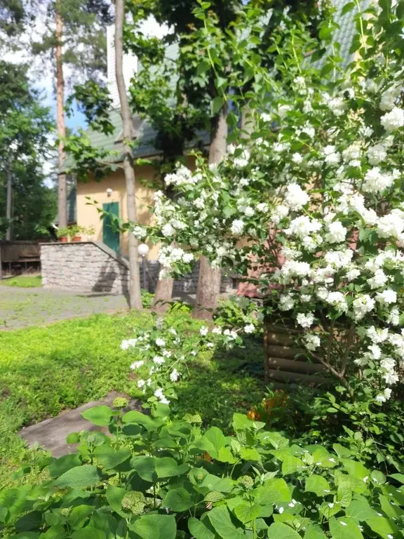 дом в московская область, люберцы городской округ, малаховка рп ул. . - Фото 0