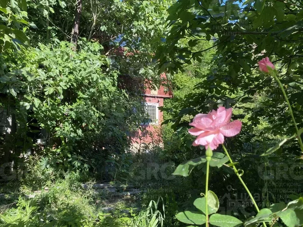 Участок в Краснодарский край, Сочи городской округ, с. Волковка ул. ... - Фото 2