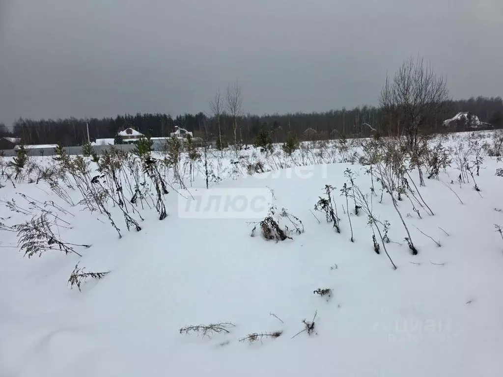Участок в Московская область, Раменский муниципальный округ, д. ... - Фото 1