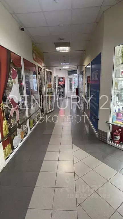 Помещение свободного назначения в Калининградская область, Калининград ... - Фото 1