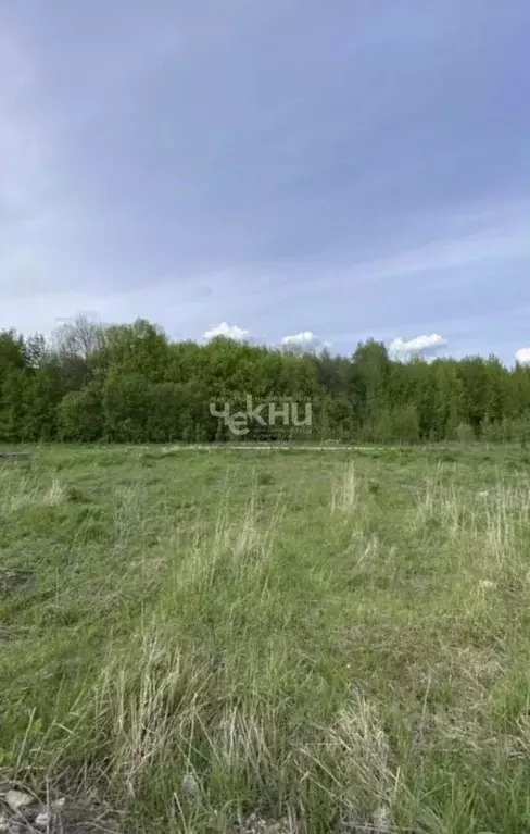 Участок в Нижегородская область, Богородский муниципальный округ, ... - Фото 0