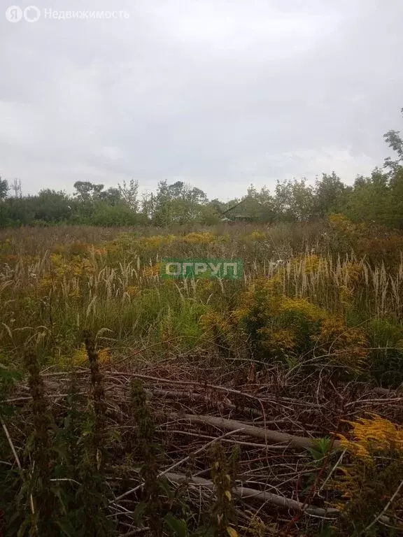 Участок в село Чемодановка, улица Строителей, 24 (15 м) - Фото 1