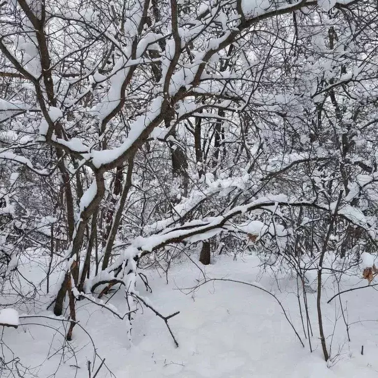 Дом в Брянская область, Брянск Родина садоводческое объединение,  (10 ... - Фото 2