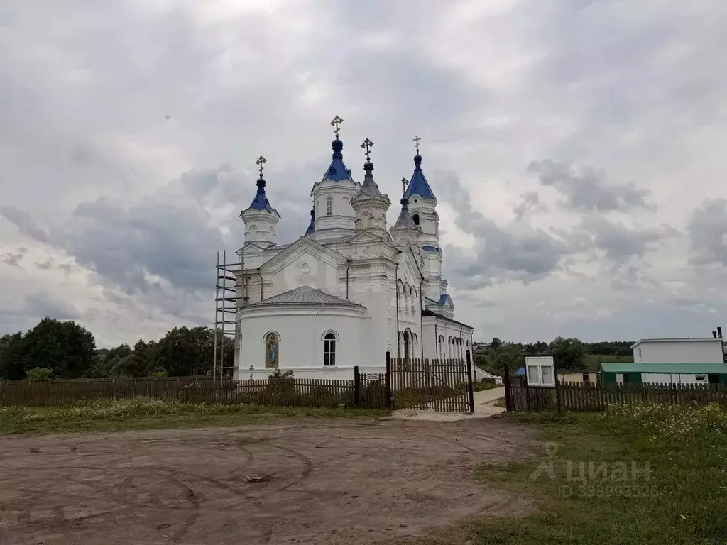 Участок в Нижегородская область, Дивеевский муниципальный округ, с. ... - Фото 1