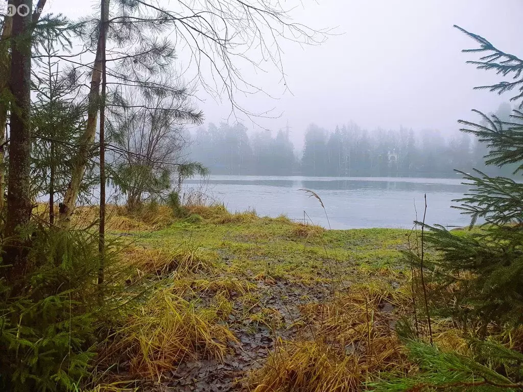 Участок в городской посёлок Вырица, исторический микрорайон Княжеская ... - Фото 2