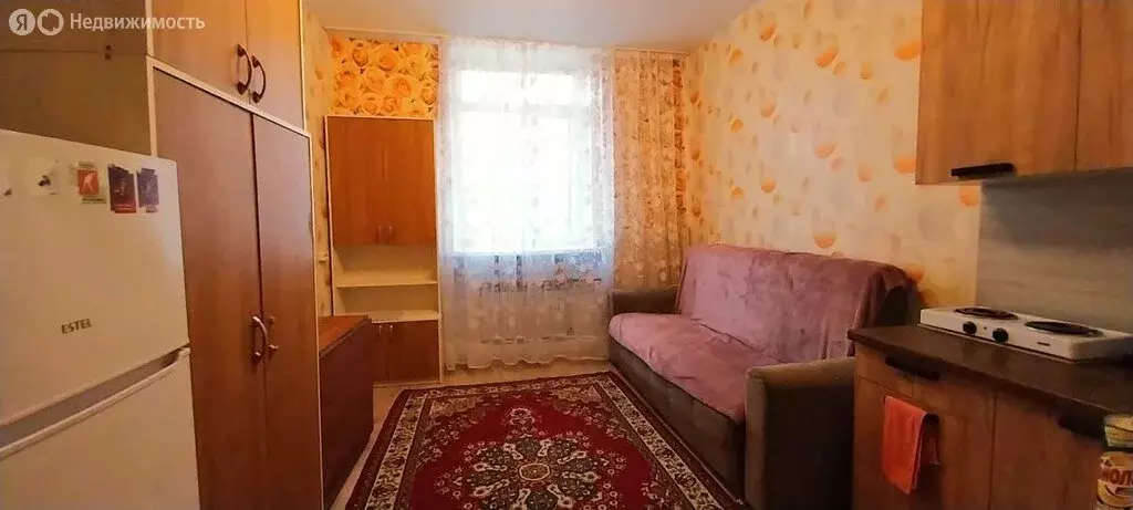 Квартира-студия: Томск, улица Шевченко, 48 (17 м) - Фото 1